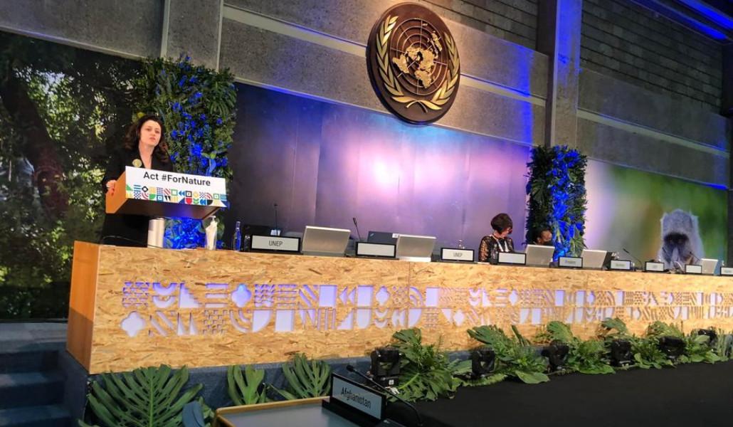 274487811_257467596574617_21594238027751991_n