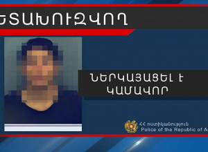 Ծեծի համար հետախուզվող 22-ամյա Կարինեն ներկայացավ ոստիկանություն