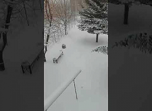 Возвращение зимы в Талине