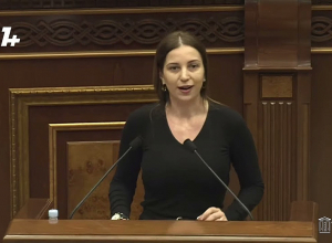 Господин министр, вы бухгалтер или министр? Анна Григорян