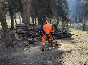 Բարեկարգում են Բերդի «Սորաններ» դենդրոպարկը