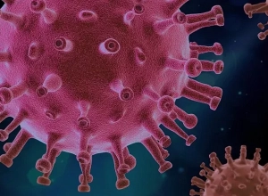 Новых случаев смерти от ковида не зарегистрировано