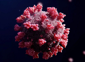 Կովիդի 2 նոր դեպք՝ Արցախում