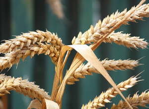 6 ամսով արգելք կսահմանվի մի շարք գյուղատնտեսական արտադրատեսակների արտահանման նկատմամբ