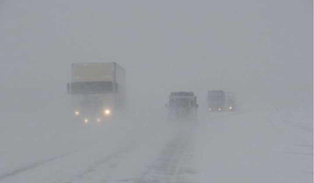 275667182_4858999397551049_8801218474001404821_n