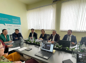 ԱԱՏՄ-ում միջազգային գործընկերների հետ քննարկվել է տեսչական կարողությունների զարգացումը