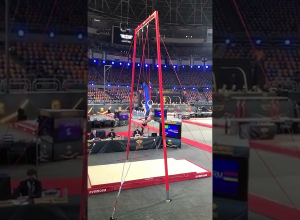 Կահիրե աշխարհի գավաթ. Վահագն Դավթյանը օղակների ոսկե մեդալակիր