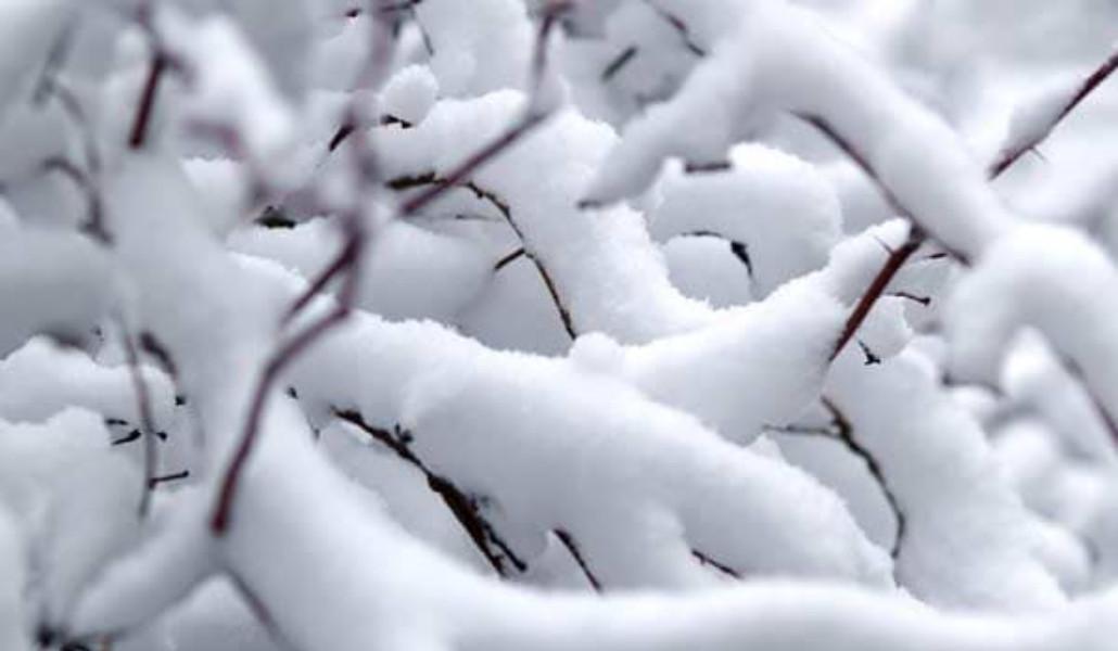 275935368_343301727848153_5816145527526162193_n