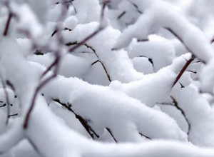 Արցախում ուսումնական գործընթացը կասեցվում է