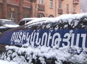 Иностранец, совершивший кражу, арестован