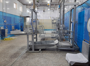 Սպանդանոցներում մշտադիտարկում են սկսել