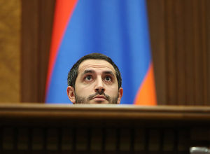 Госпожа Хамоян, мы Вас отвлекли от дела? Рубинян разозлился, что не приходят на обсуждение насущного вопроса