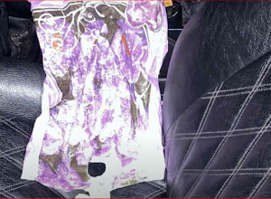 Օտարերկրացու մոտ հայտնաբերվել է 17 գրամից ավելի մարիխուաննա․ պարեկների բացահայտումը