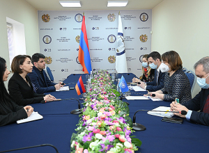 Омбудсмен РА приняла постоянного представителя ПРООН (UNDP) в Армении Натию Нацвлишвили