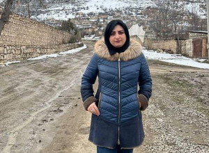 Շտապ գրություն եմ ուղարկել Հայաստանում ԱՄՆ և Ֆրանսիայի դեսպաններին. Թագուհի Թովմասյան