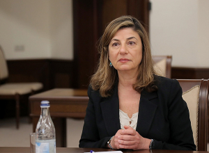 Папикян обсудил с Бомбергер судьбы без вести пропавших лиц