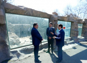 Мэр Еревана представил сотрудникам зоопарка врио директора