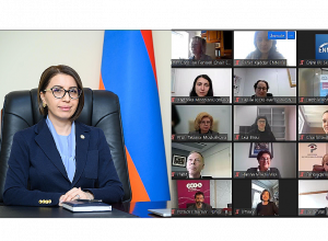 Քրիստիննե Գրիգորյանն այսօր մասնակցել է Մարդու իրավունքների ազգային հաստատությունների եվրոպական ցանցի (ENNHRI) առցանց գլխավոր վեհաժողովին