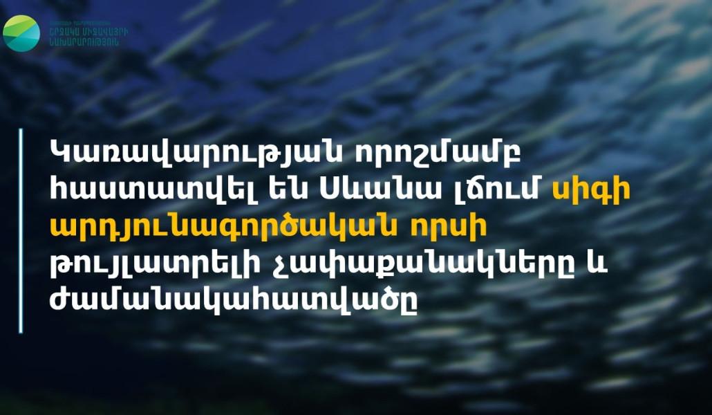 277523454_277310774590299_7729168521066843598_n