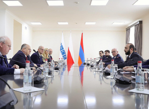 Состоялась беседа Арарата Мирзояна с действующим председателем ОБСЕ Збигневом Рау