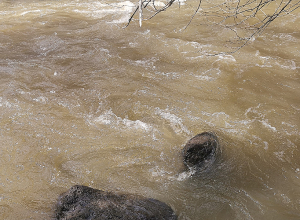 Շարունակում են որոնել 3 օր առաջ գետն ընկած քաղաքացուն