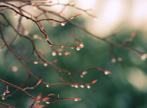 Ջերմաստիճանը նվազելու է