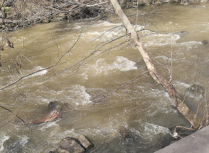 Քաղաքացին ընկել է գետը․ որոնողական աշխատանքները դադարեցվել են անարդյունք (թարմացված)