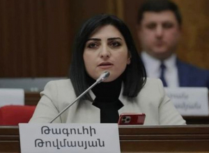 ԵԱՀԿ ԽՎ նախագահը պատասխանել է Արցախում Ադրբեջանի հանցավոր գործողությունների վերաբերյալ նամակին․ Թ․ Թովմասյան