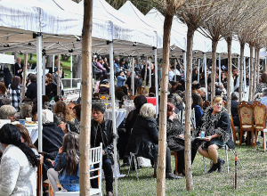 600 հոգին ոտքի կանգնած էլ մնացին, նստած էլ, ժպտացին էլ, դժգոհ էլ եղան․ Աննա Հակոբյան