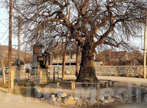 Վրաստանի հայաբնակ Խոճոռնի գյուղը ոչ բավարար արոտավայրերի, վառելանյութի խնդիր ունի