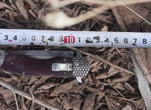 Թաքնված տանտերը մուրճով հարվածել է տուն մտած անձի գլխին