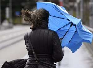 Возможны повреждения деревьев и крыш: ожидается усиление ветра
