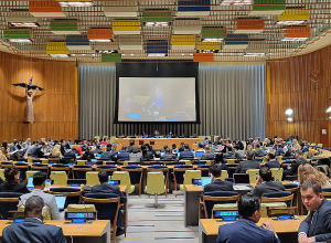 Армения избрана членом Комитета неправительственных организаций ООН