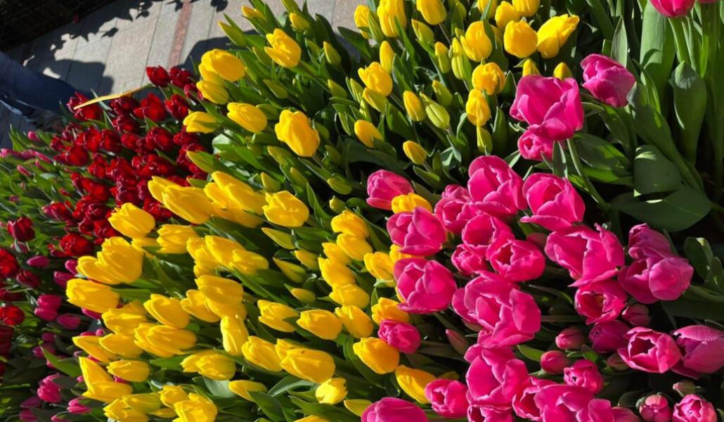 274865966_530314898414556_1583594655961689948_n-1024x768