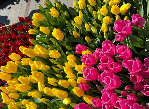 Ապրիլի 24-ին ծաղիկ կվաճառեն միայն Լենինգրադյան փողոցում և ստորգետնյա հանգույցում