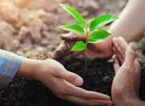 Ապրիլի 30-ը հայտարարված է համապետական շաբաթօրյակ