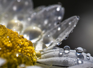 Եղանակն առաջիկա օրերին