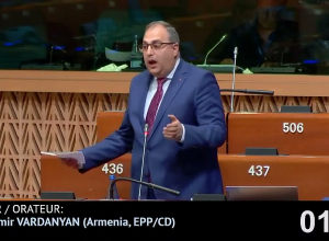 Վլադիմիր Վարդանյանը ելույթ է ունեցել ԵԽԽՎ նիստում