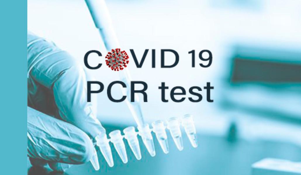 pcr-test-slide