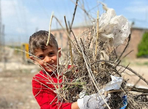 Արարատի մարզում ևս շաբաթօրյակ են իրականացրել