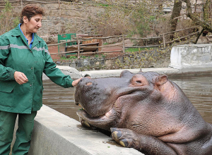 Վաղը Կենդանաբանական այգու բացումն է