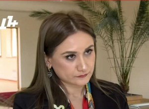 Брифинг Арусяк Джулхакян: ПРЯМОЙ ЭФИР