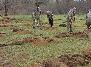 «Սևան» ազգային պարկում սկսվել է ծառատունկը