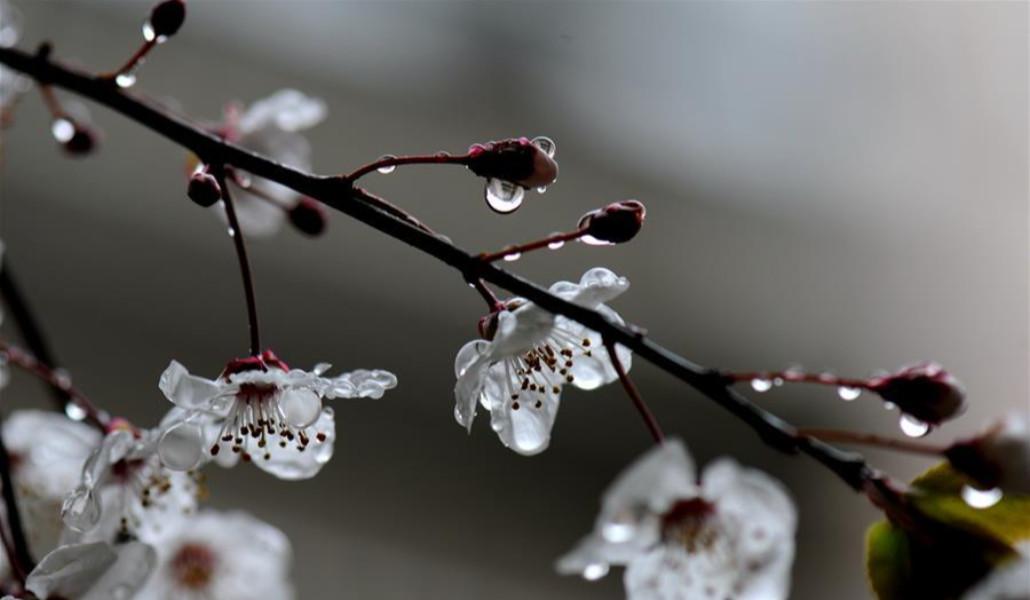 138876313_15841469568341n