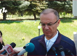 Власти будут использовать оппозиционное движение во внешней политике: Сейран Оганян