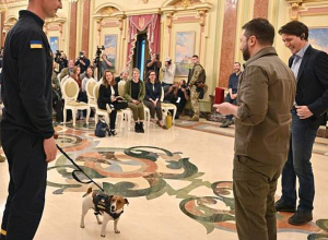 Վլադիմիր Զելենսկին մեդալով պարգևատրել է Պատրոն անունով շանը