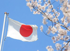 Государственный долг Японии превысил 9,5 трлн долларов