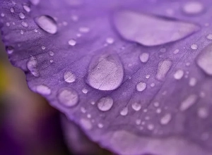 Ինչ եղանակ են կանխատեսում առաջիկա օրերի համար