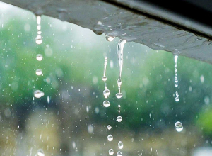 Похолодает на 7-10 градусов