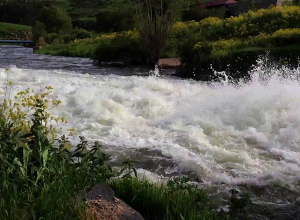 «Գիժ» Դեբեդի զոհերը